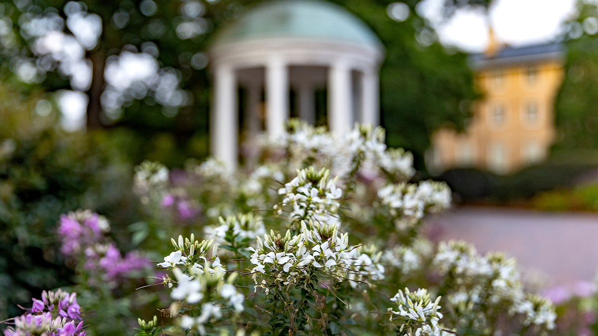 Old Well on the campus of UNC-Chapel Hill with flowers in the foreground.